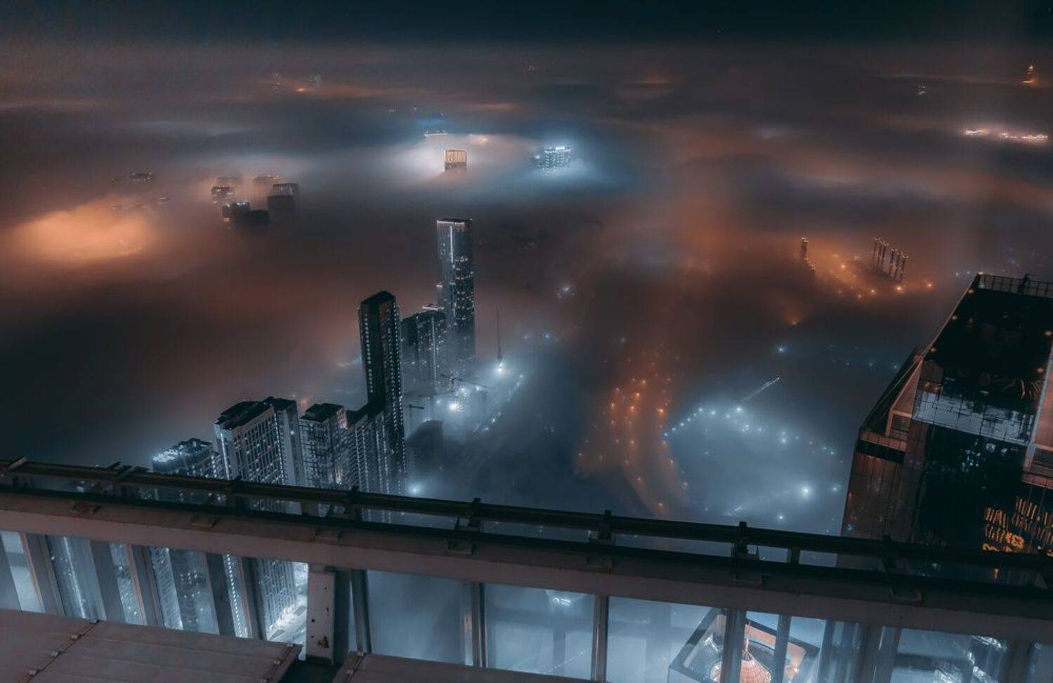 , Трепольский Дмитрий