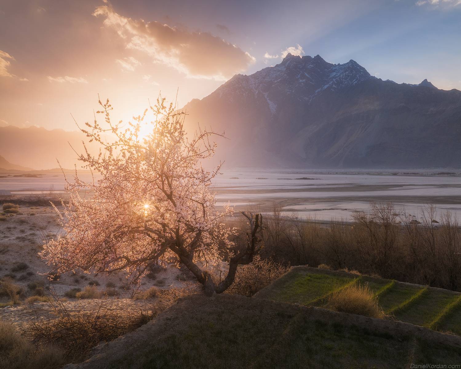 , Даниил Коржонов