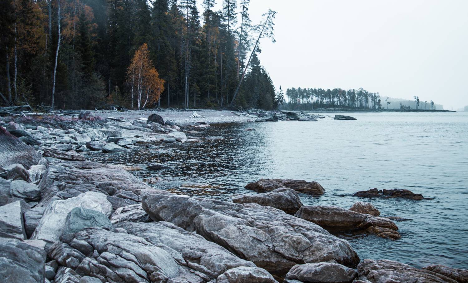 , Андрей Куликов