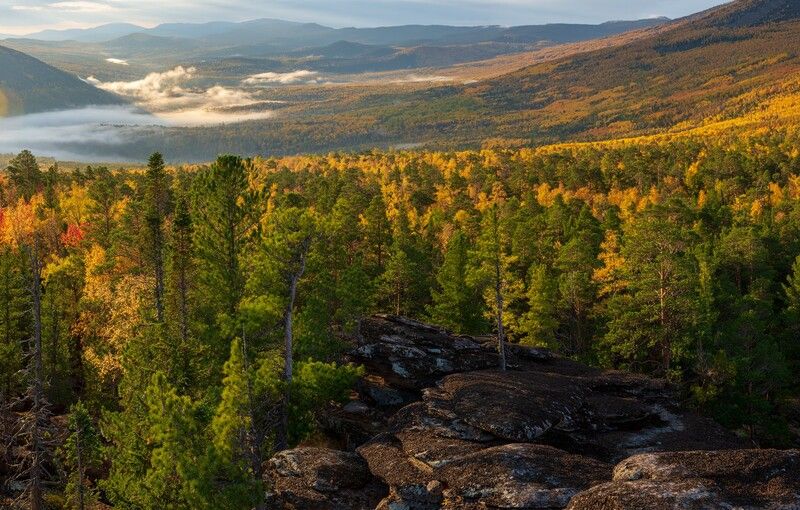 кутурчин осень ** * фото превью
