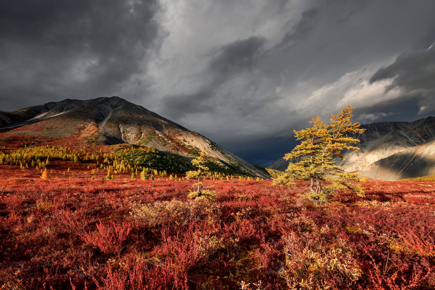 якутия, Евдокимов Максим
