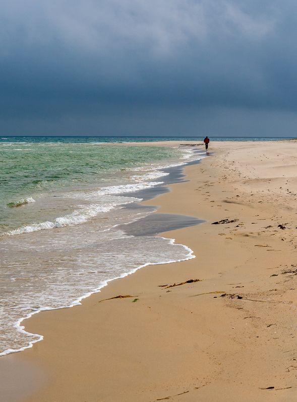 Заповедное Приморье фото превью