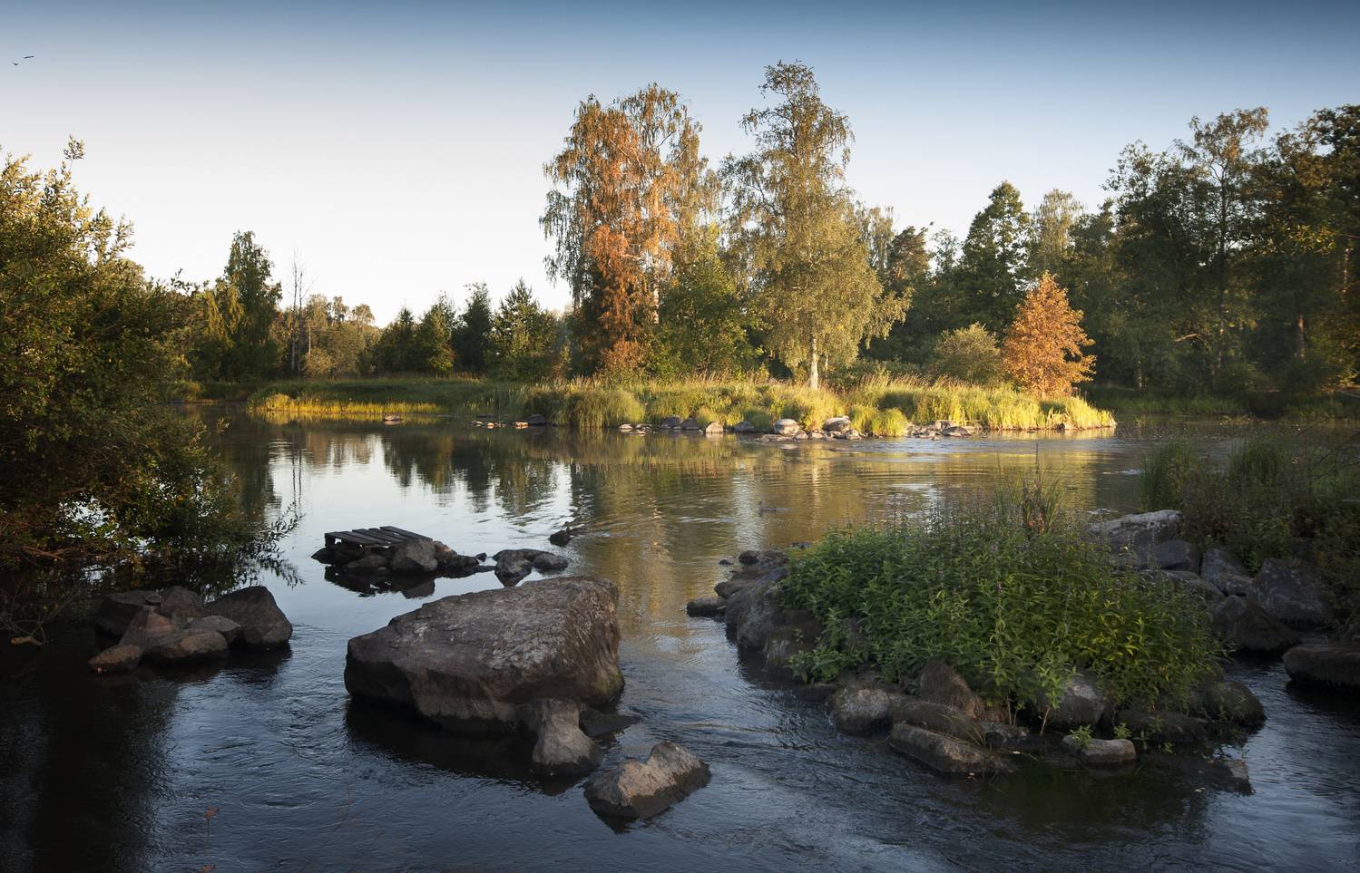 , Георгий Сапожников