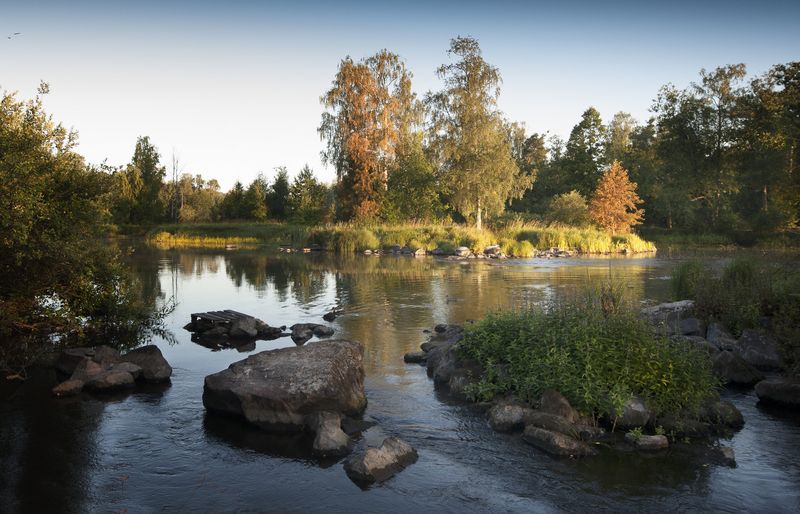 Утро фото превью