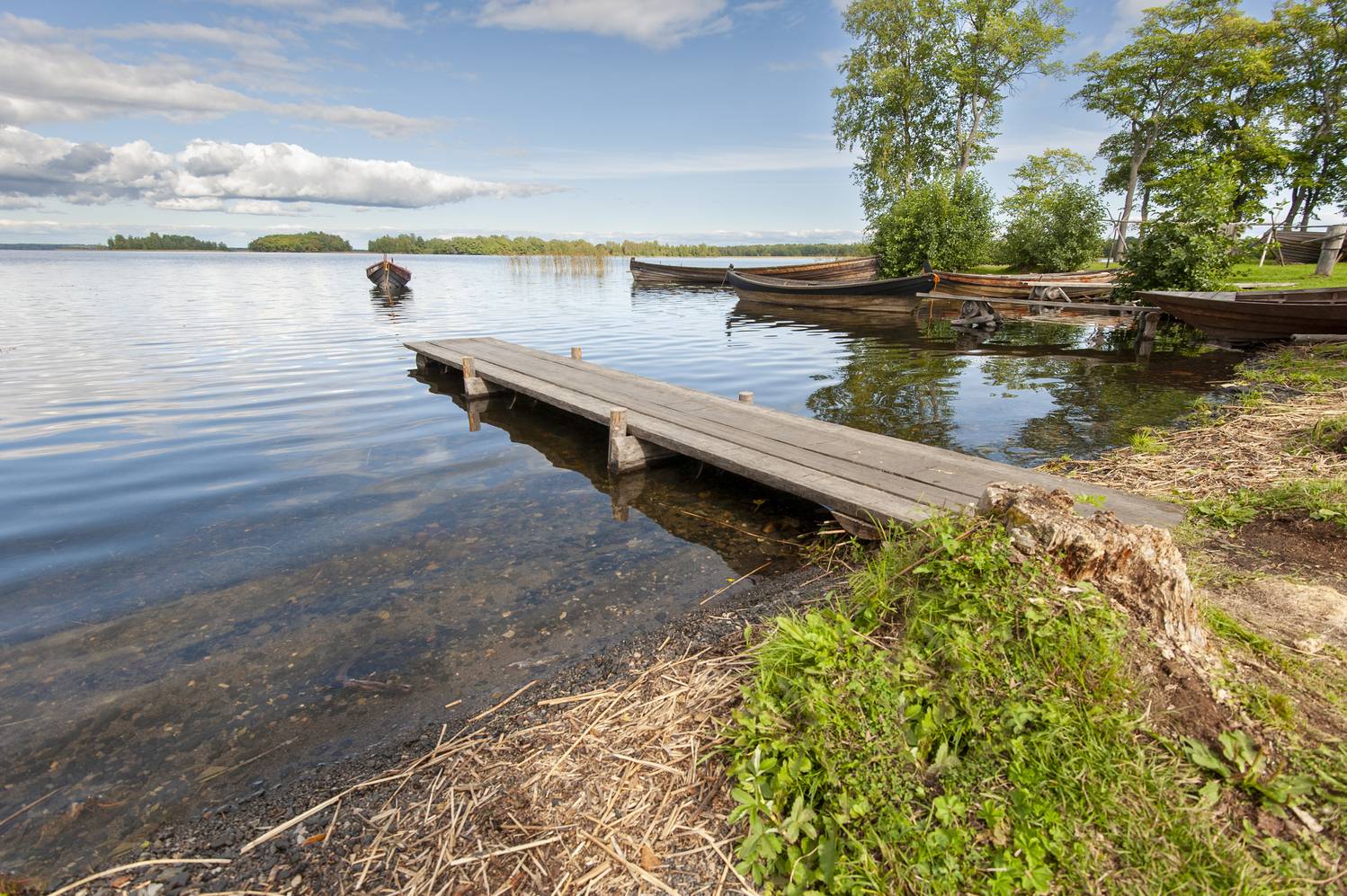 , Георгий Сапожников