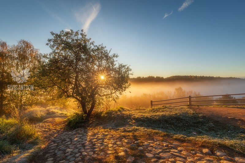 Рассвет в Плёсе. фото превью