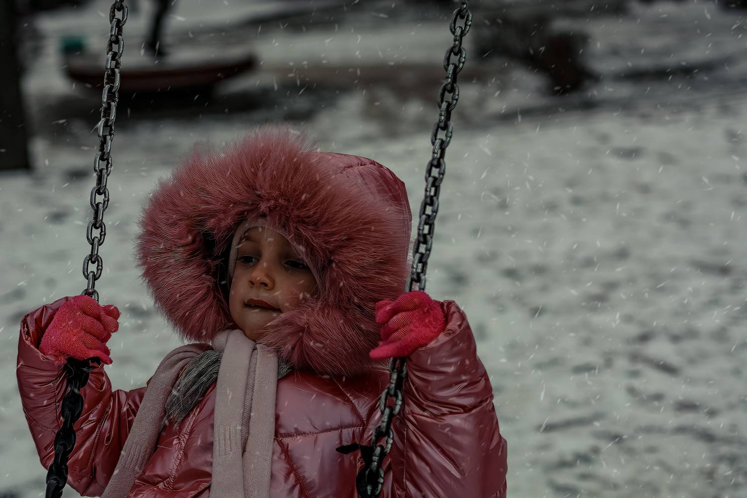 , Владимир Гамаюнов