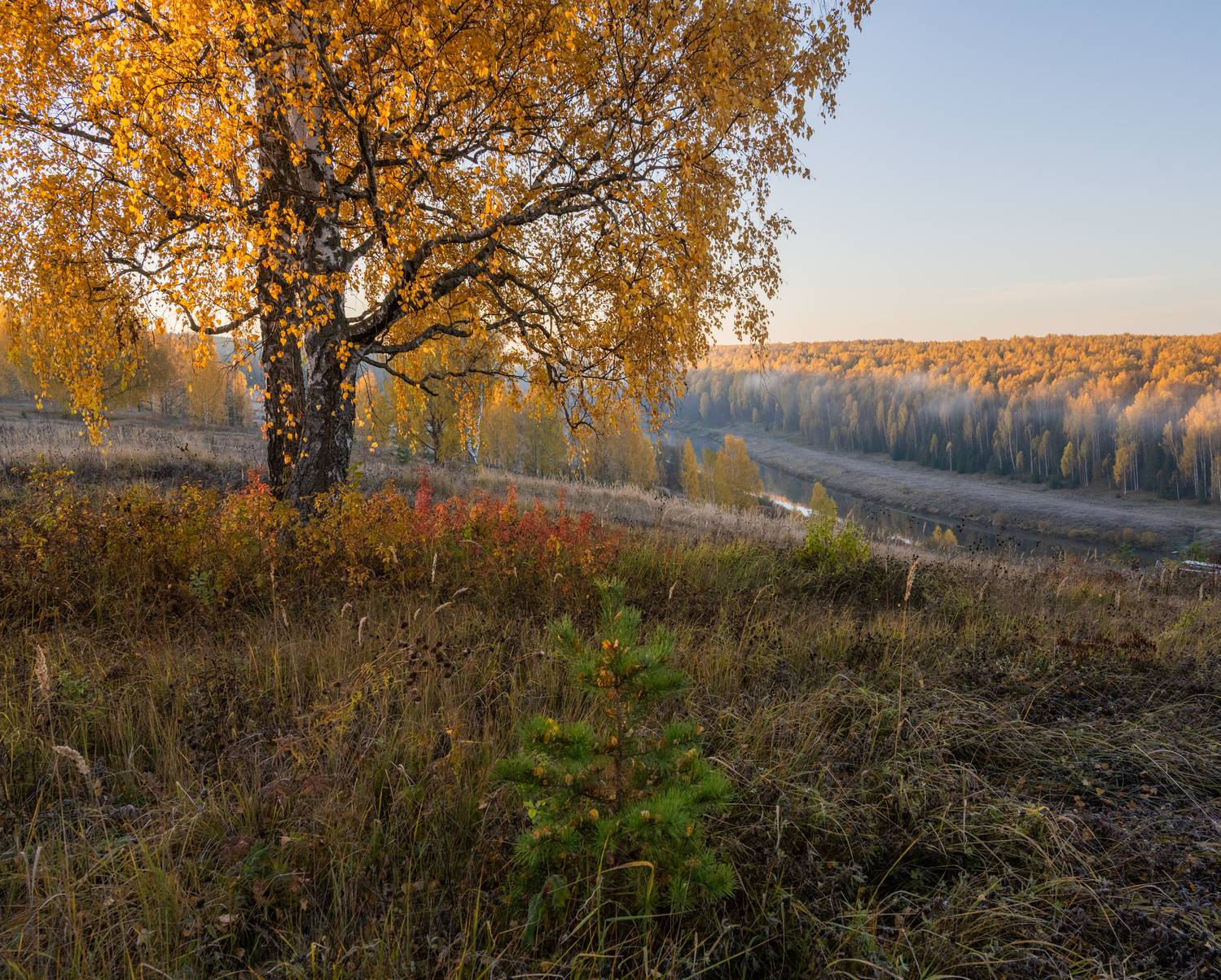 , Карепанов Евгений