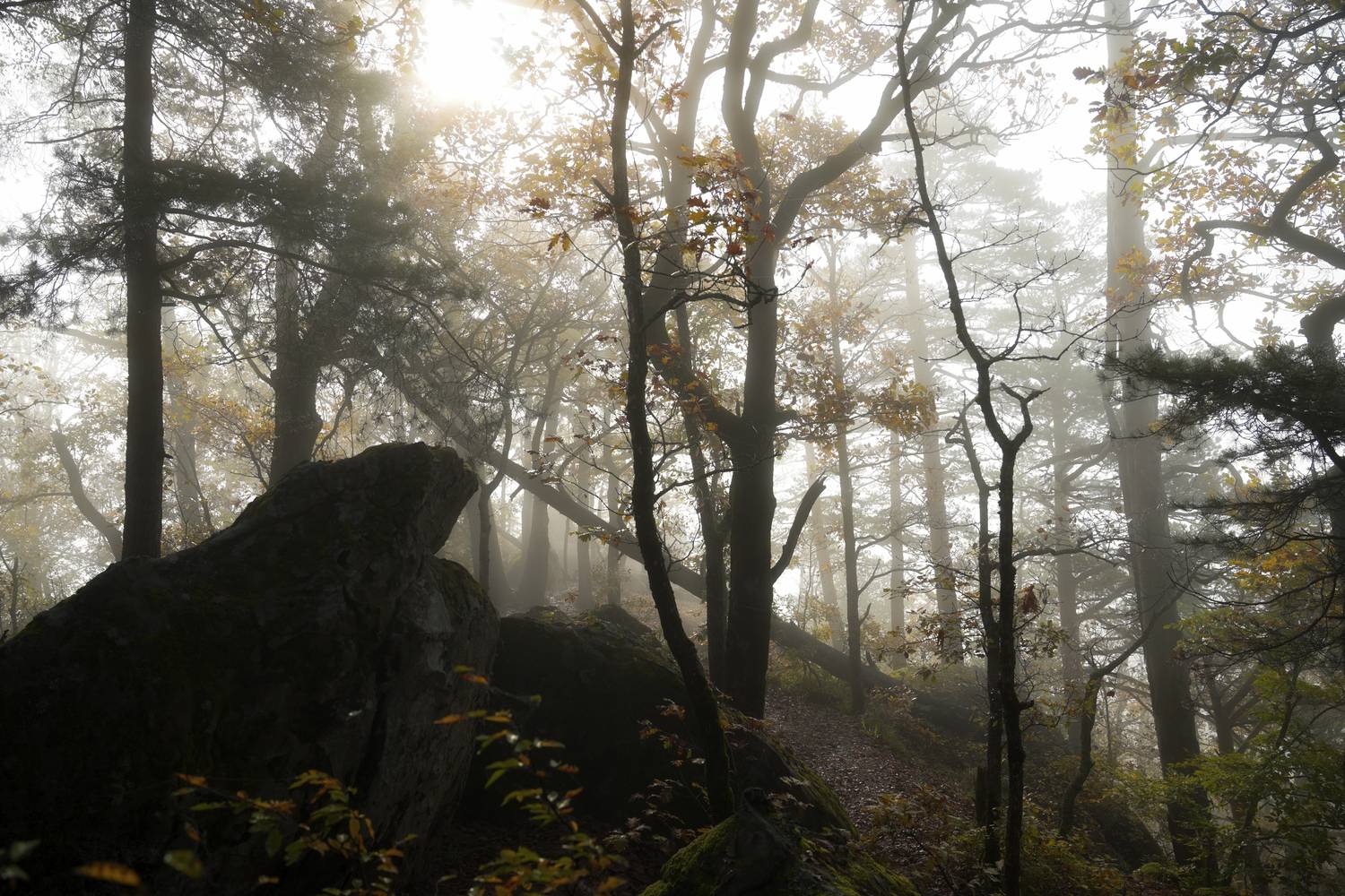 , Сергей Тихомиров