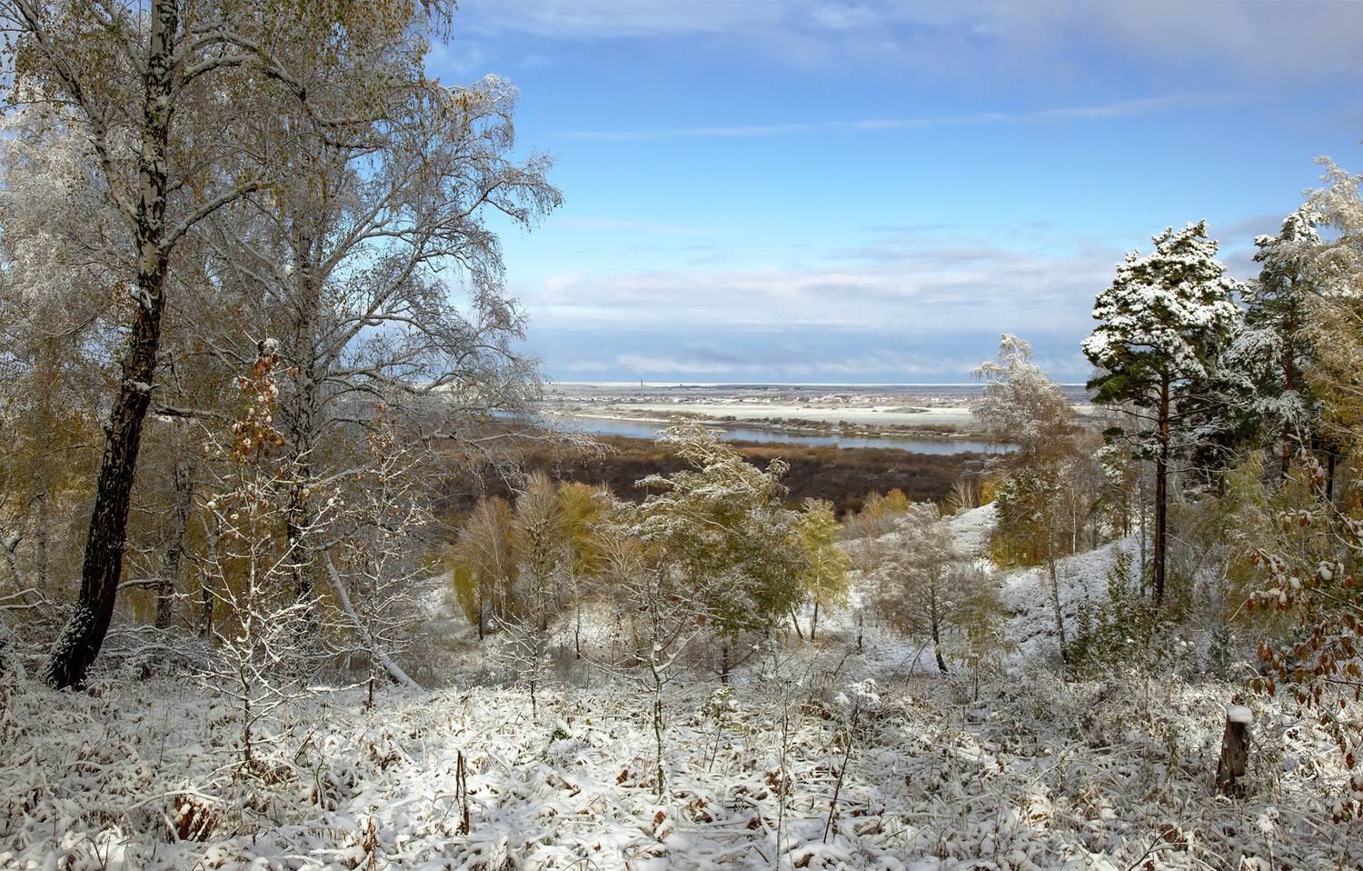 , Алексей Хахлов