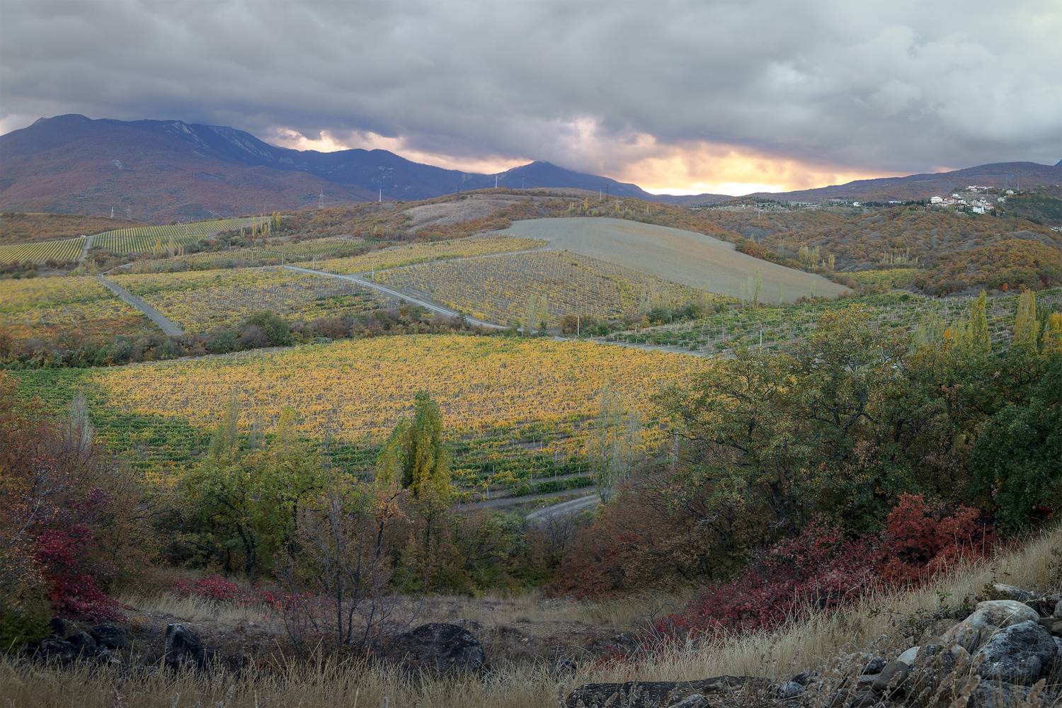 крым, осень, горы, пейзаж, виноградники,, Сергей Шульга