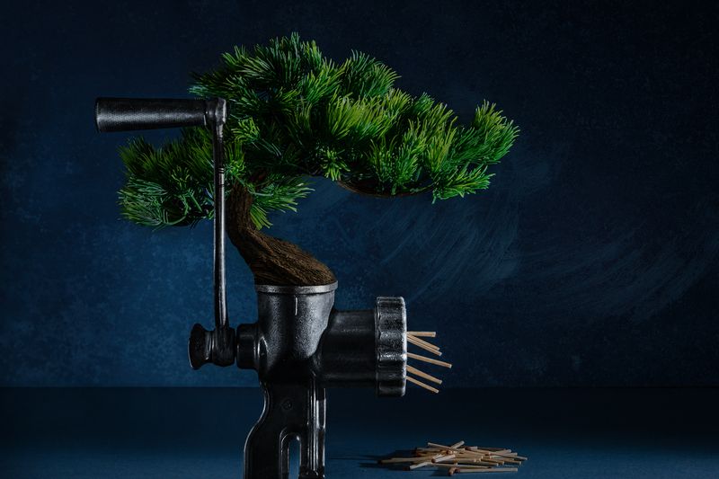 Берегите лес! фото превью