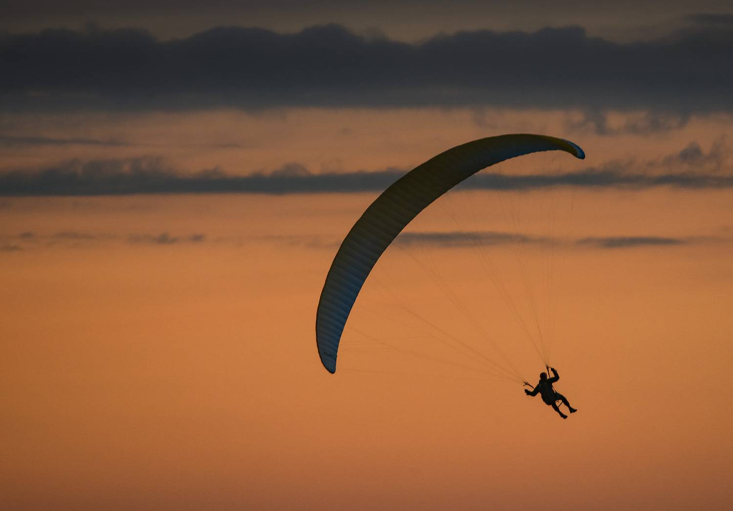 , Пирог Борис