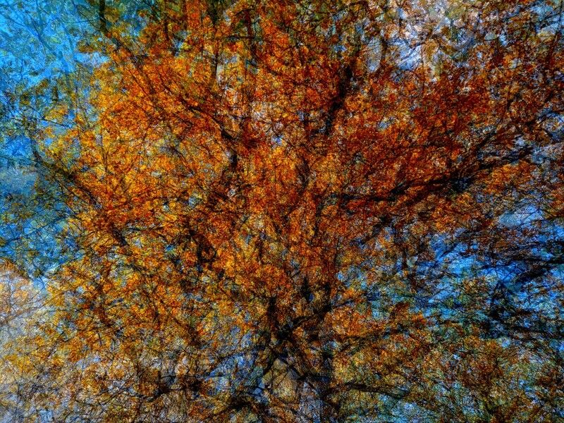 . фото превью