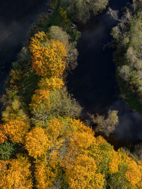 Краски осени фото превью