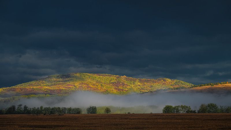 2025 фото превью
