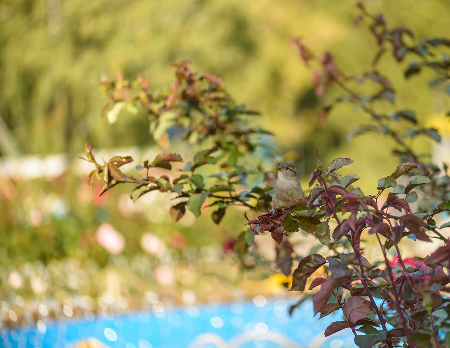 , Наиля Гарифуллина