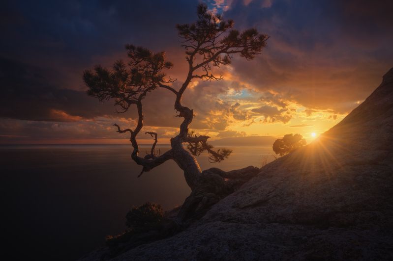 На закате  фото превью