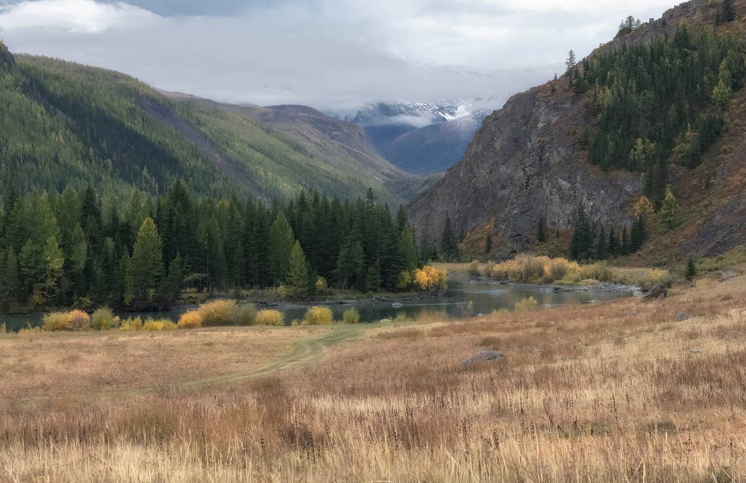 алтай, северо-чуйский хребет, горы, лиственницы, чуя, осень, Марина Фомина