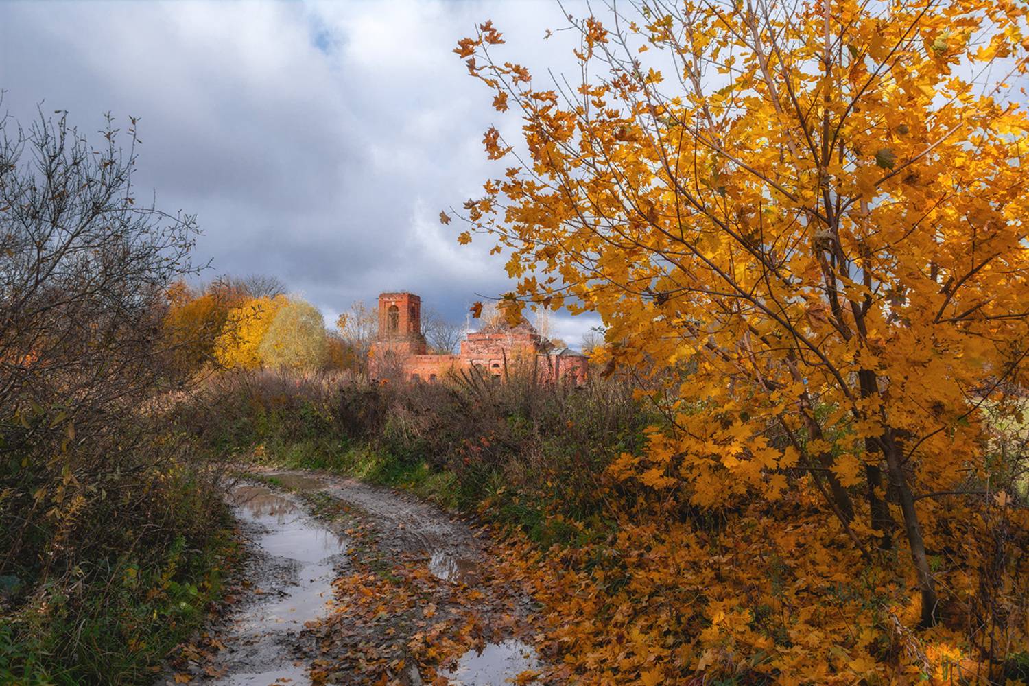 , Анатолий Зверев