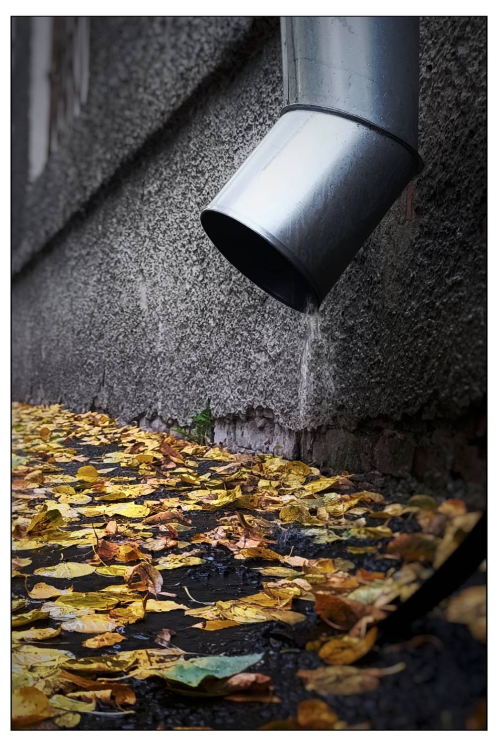 , Герасимова Алёна