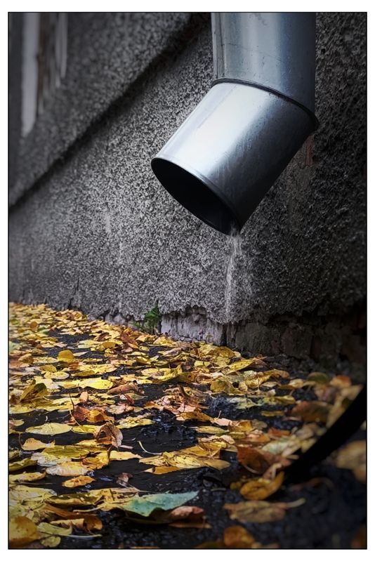 Настроение - осень... (2) фото превью