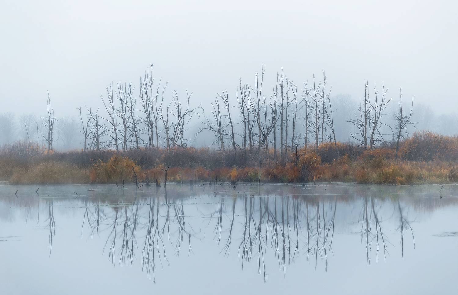 , Lozhkin Vyacheslav