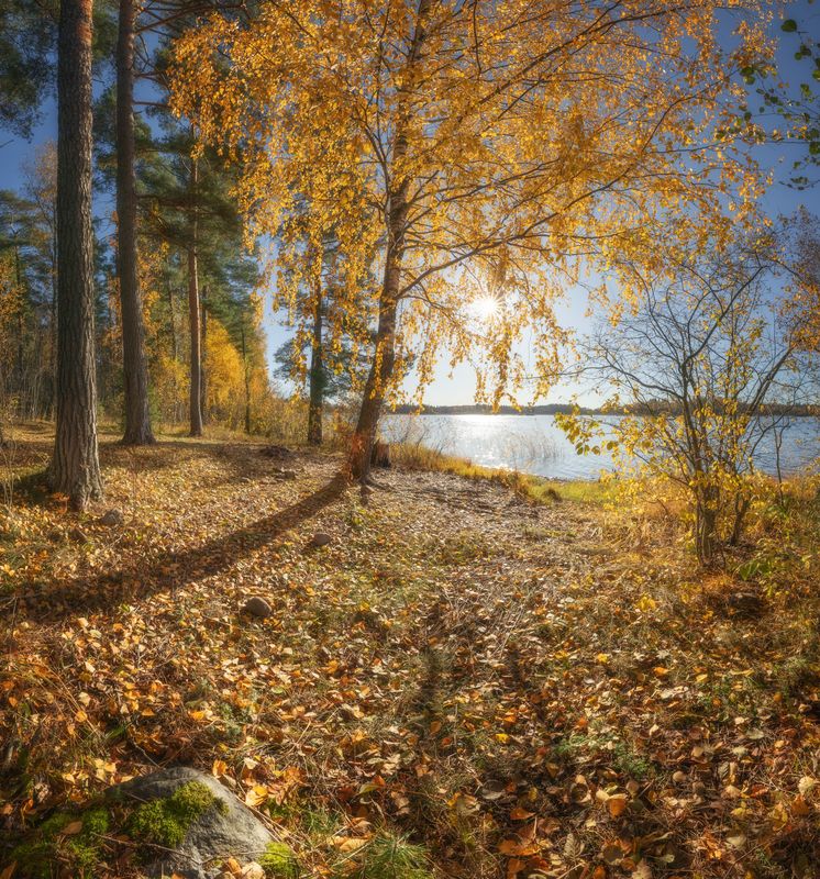 осень, ленобласть, вуокса *** фото превью