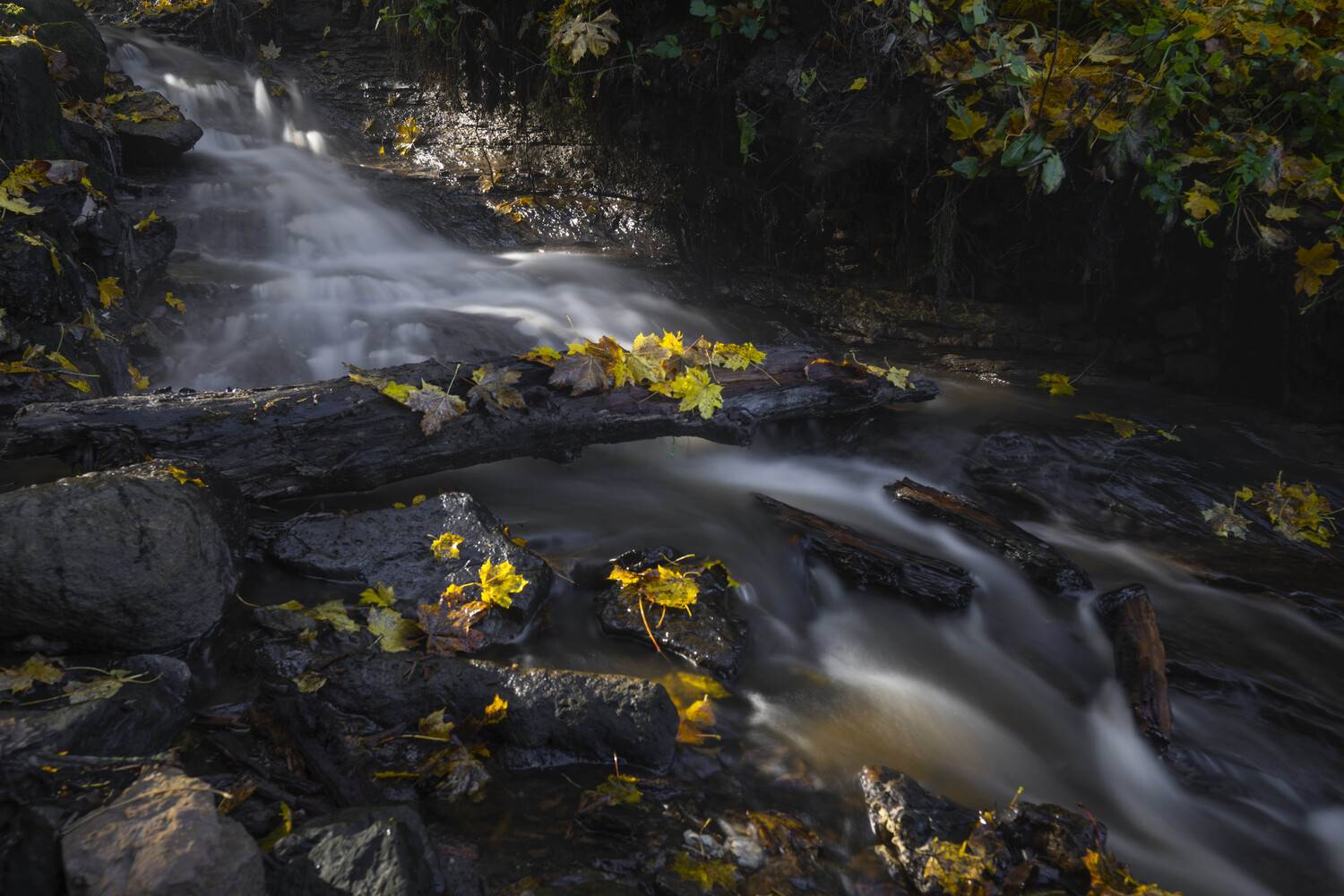 , Кулаков Юрий
