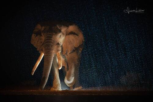 Когда идёт дождь...