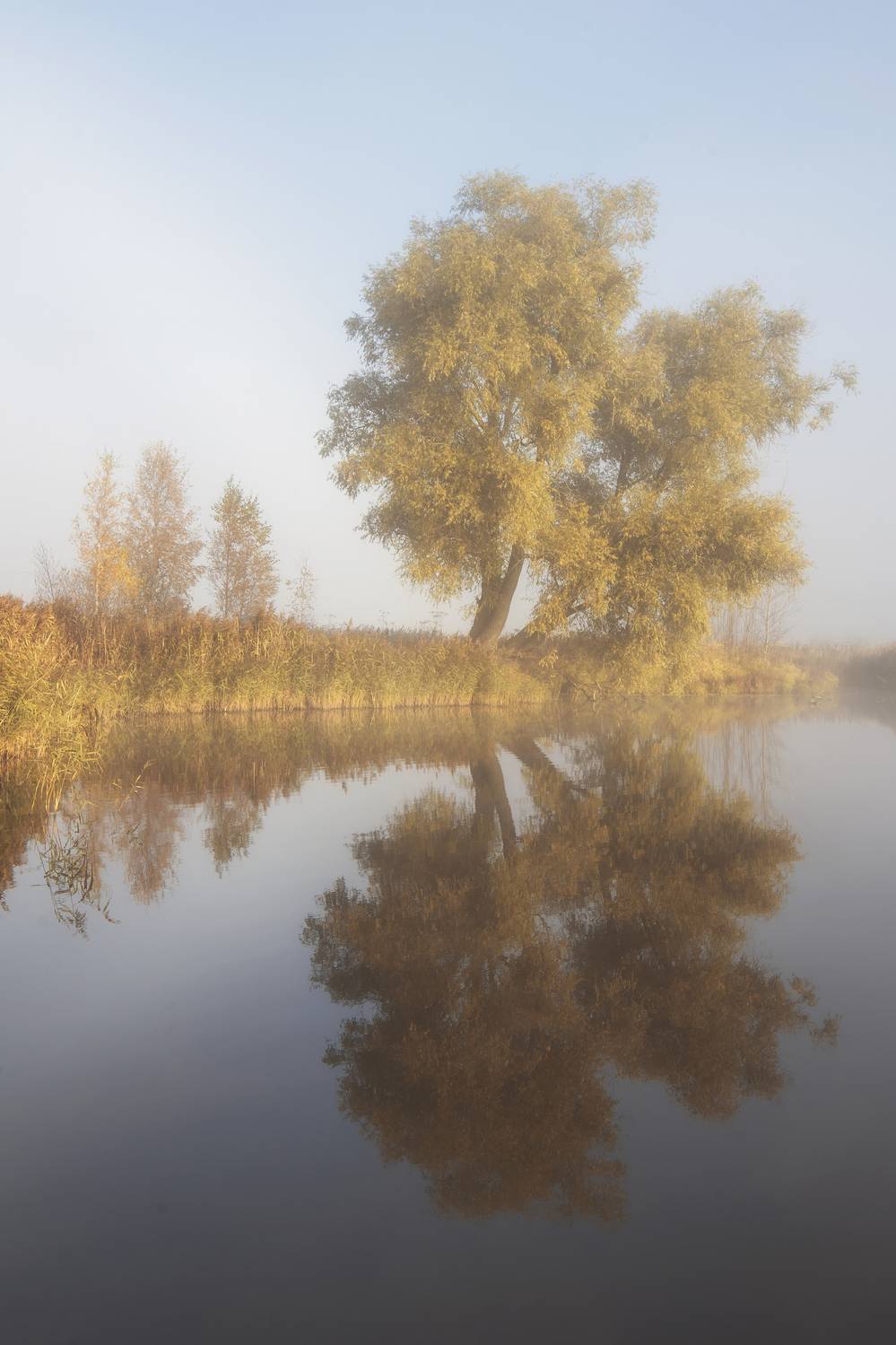 , Максим Вышарь