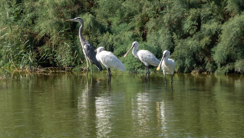 Дружная семейка фото превью