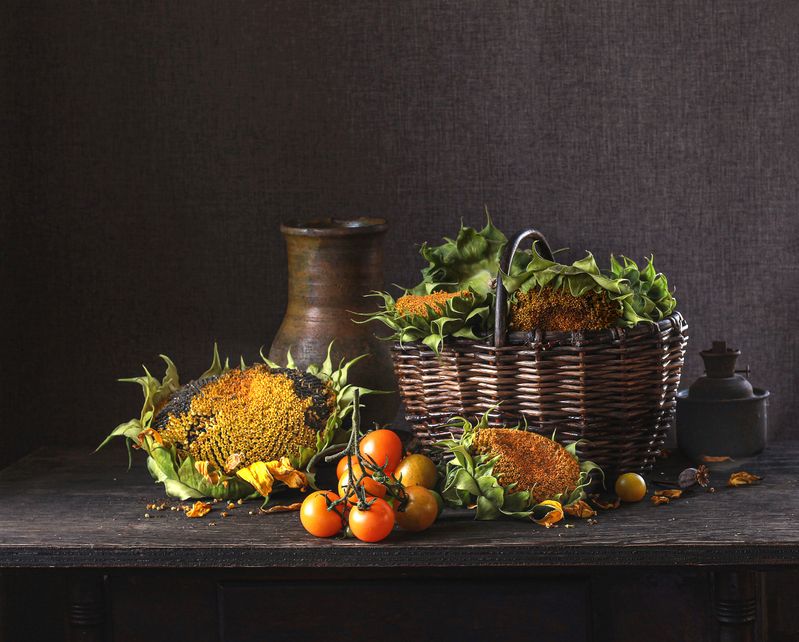 натюрморт, фотонатюрморт, still life, stillifefoto, лето, осень, подсолнухи, наталья_казанцева Кончилось лето фото превью
