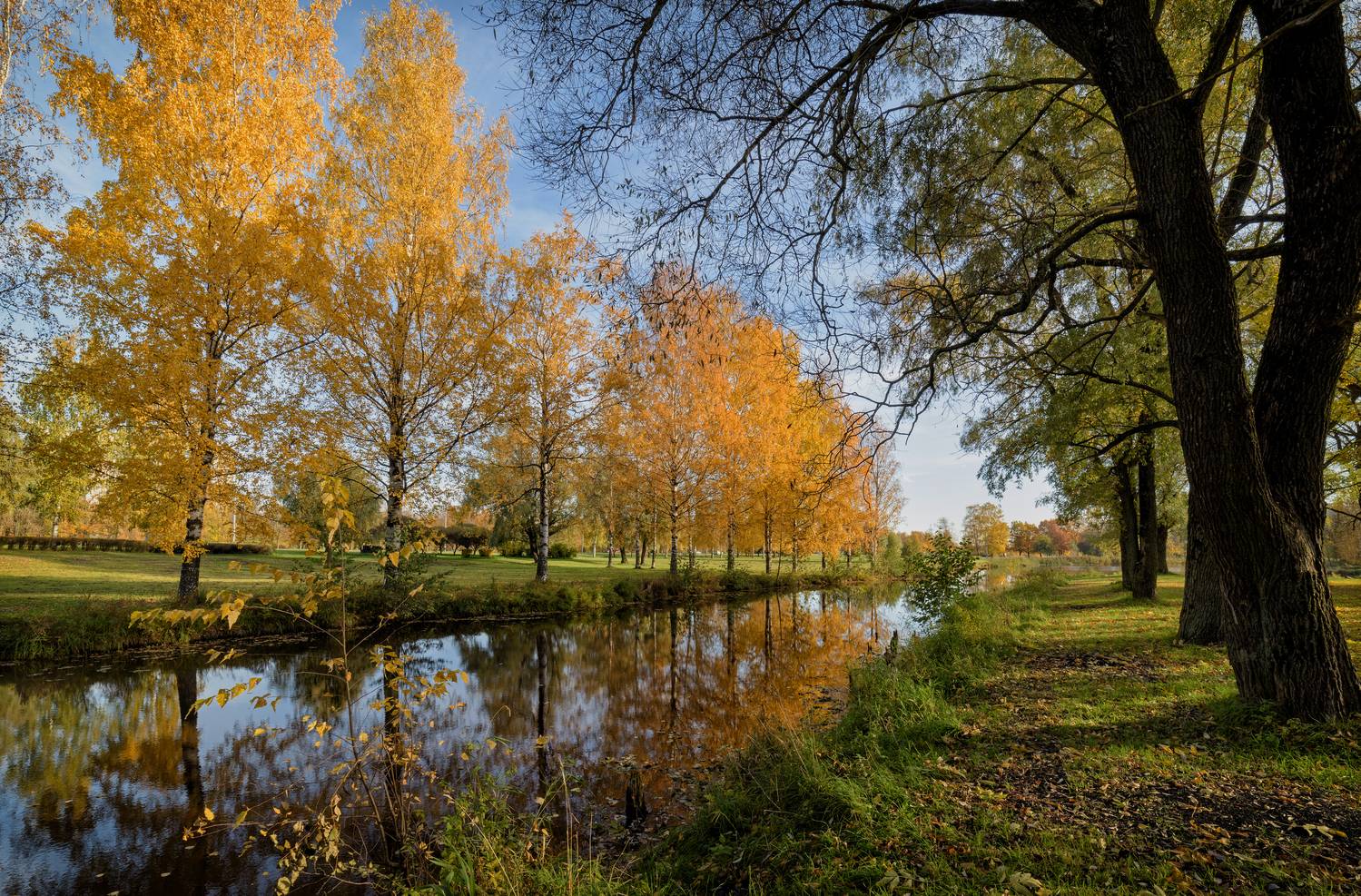 , Тихонов Дмитрий