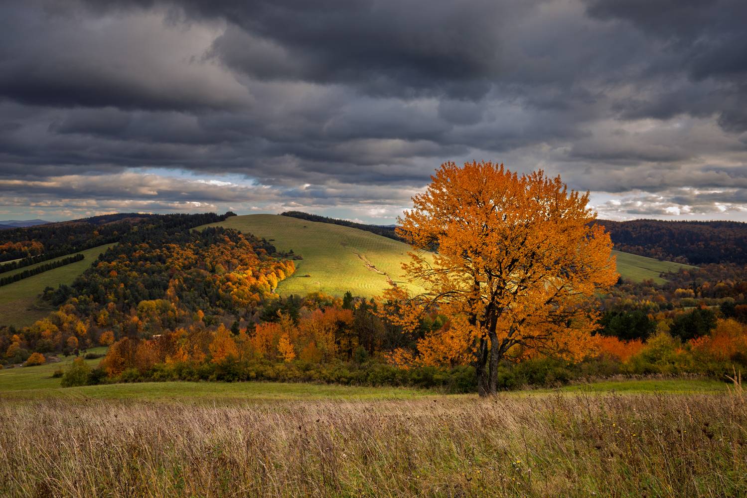 ,  Mirosław Pruchnicki