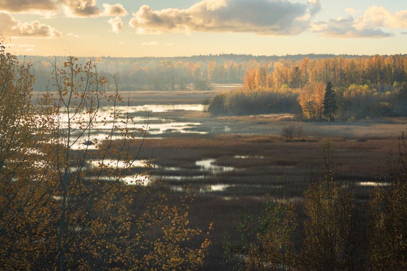 осень закат вечер болото озеро туман Осенний вечер фото превью