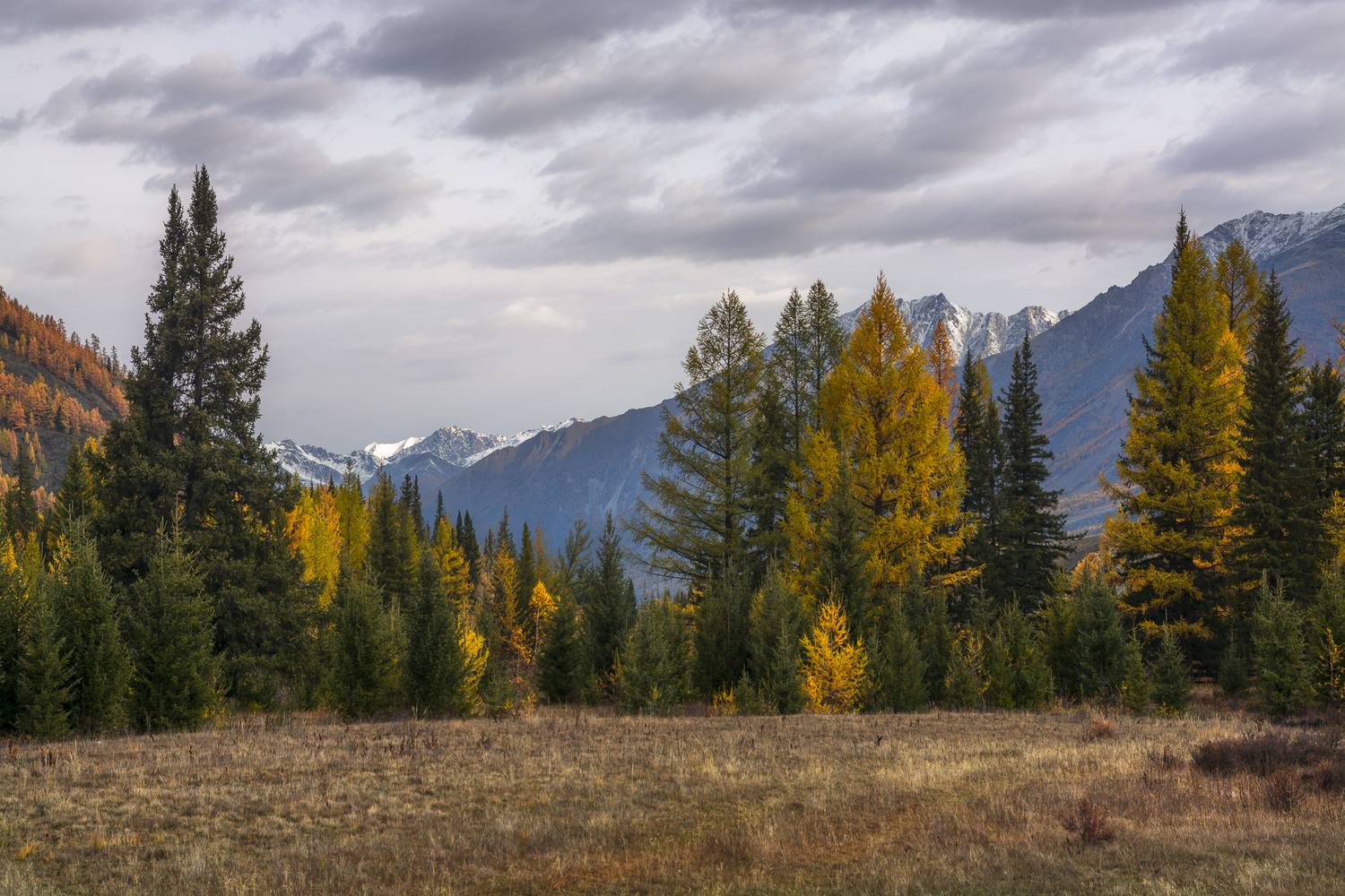 россия, горный алтай, осень, утро, Андрей Поляков