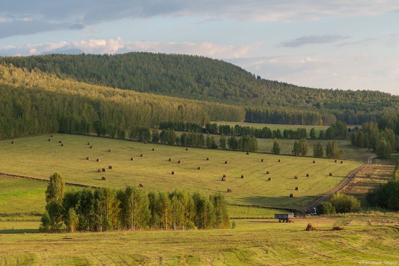 пейзаж, поле, россия, урал, горы, сено, трава Южный Урал фото превью