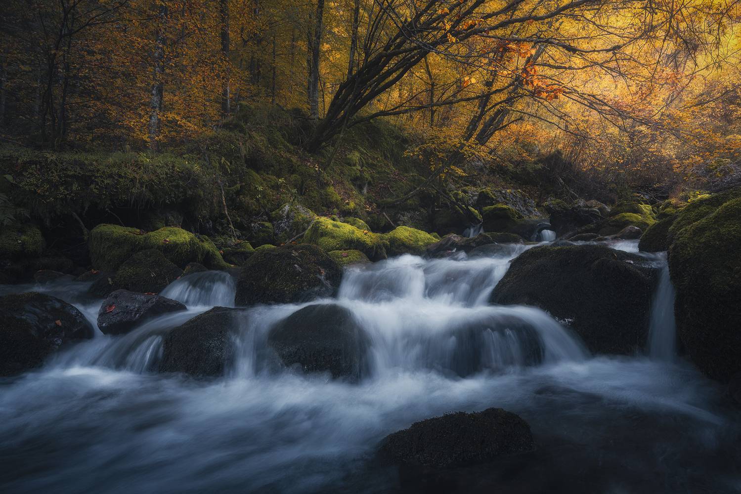 , de Franzoni Thomas