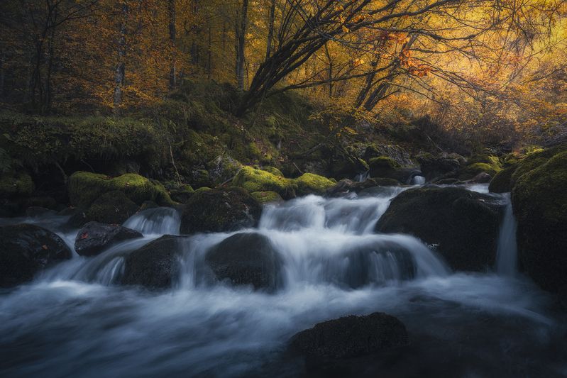 Enchanted Veil фото превью