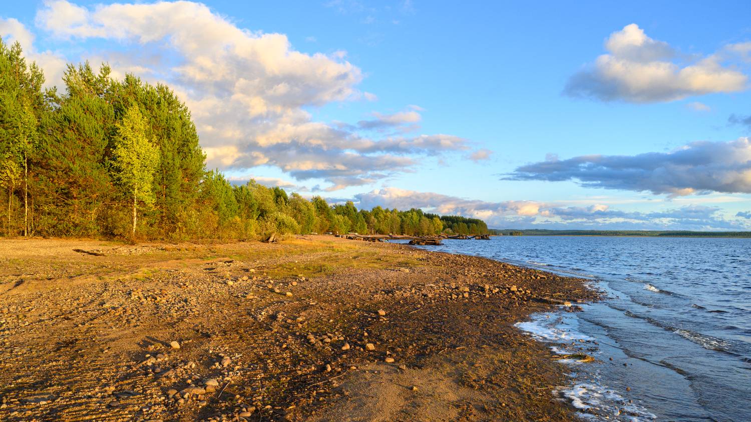 forest, tree, light, foliage, sunlight, morning, lake, autumn, yellow, sea, water, shore, seaside, Андрей Козлов