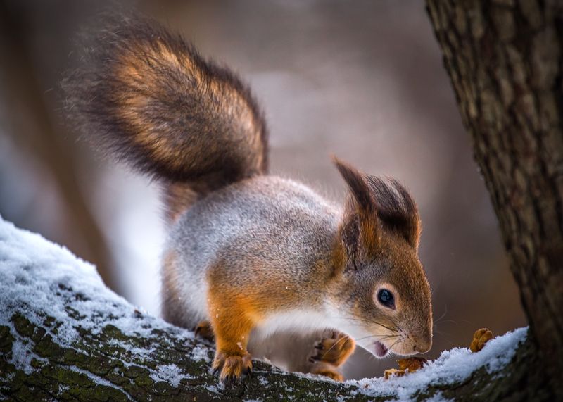 Радостная находка. фото превью