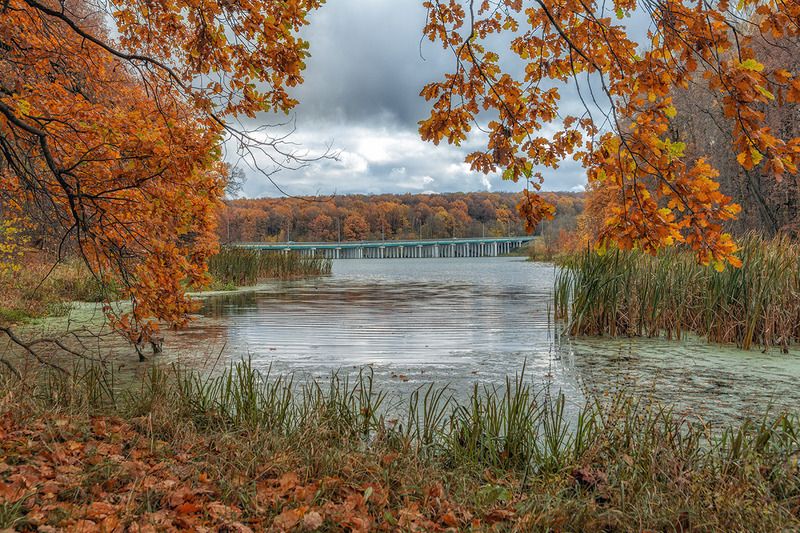 Краски осени. фото превью