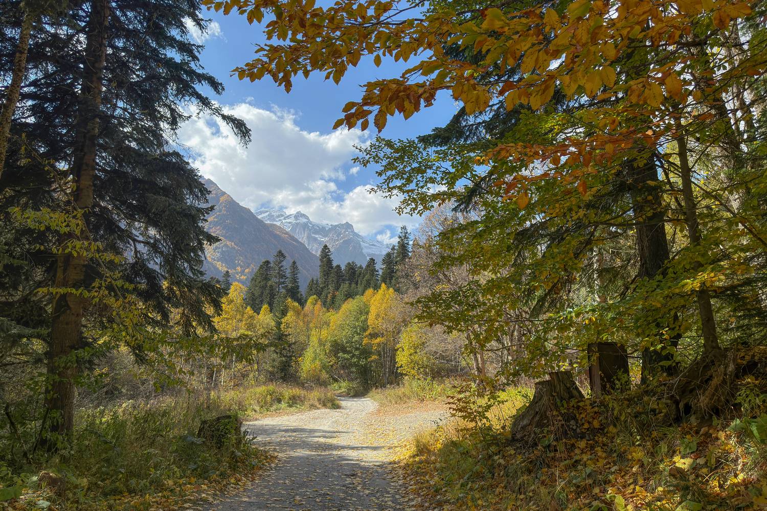 , Игорь Денисов