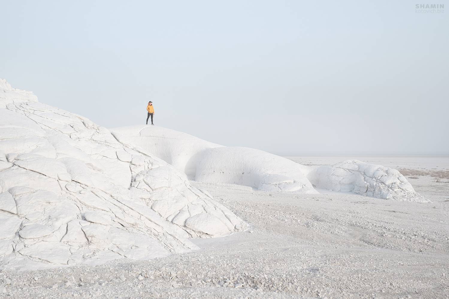 , Константин Шамин