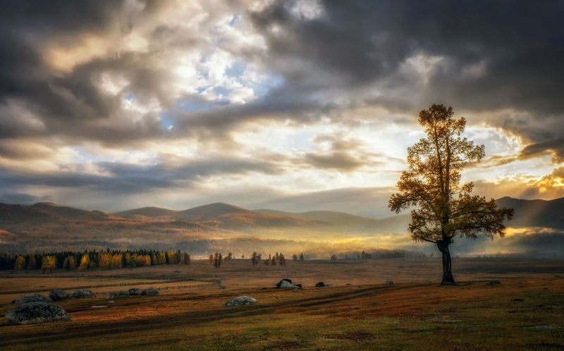 Разойдутся в небе тучи... фото превью