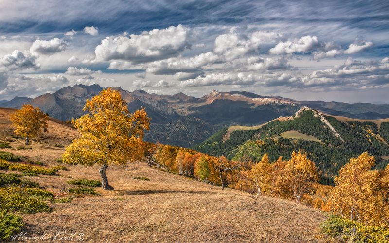 кчр, горы, осень, октябрь, березы, облака Когда в горах осень фото превью