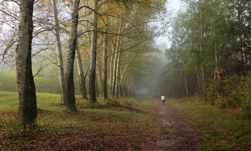 томск ботанический сад В парке фото превью