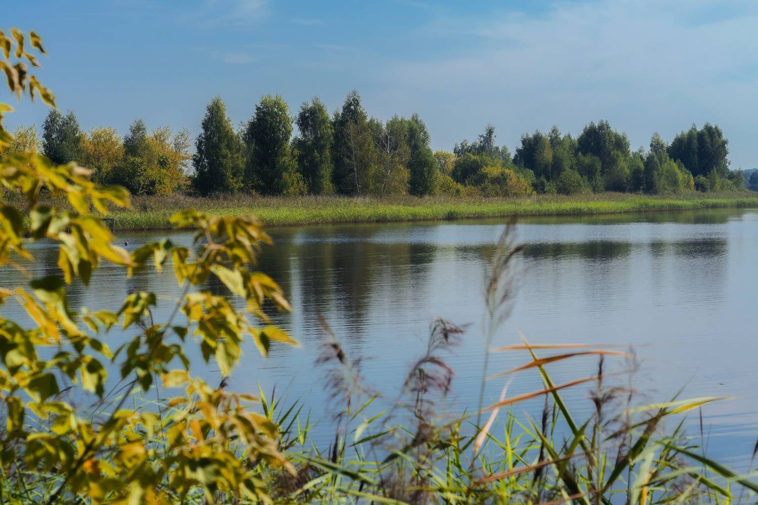 , Лысенко Сергей