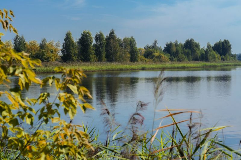 *** фото превью